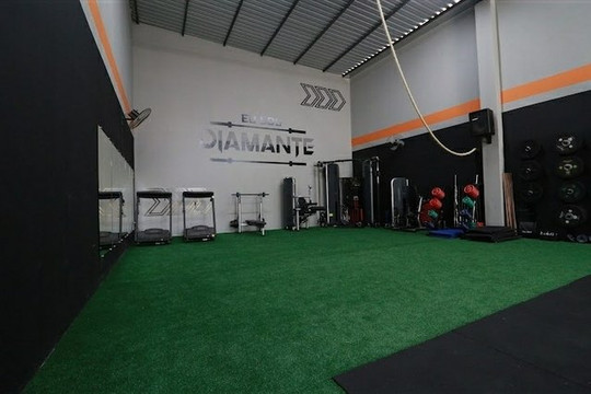 Imagem 1 da galeria do parceiro Diamante C.T.