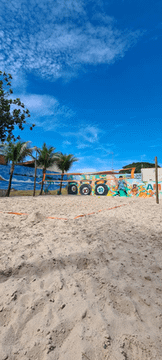 Imagem 3 da galeria do parceiro Am Sports Camp