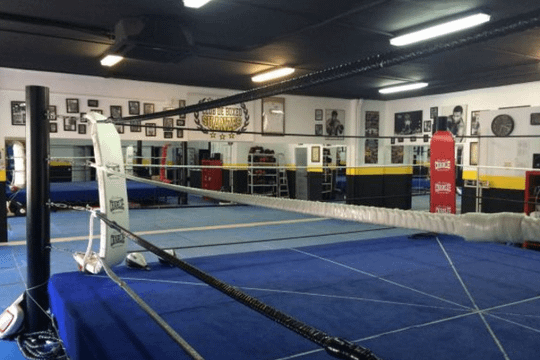 Imagen 1 de la galería del partner Club de Boxeo Suanzes
