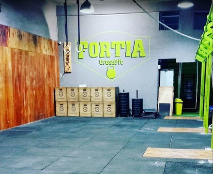 Imagen 1 de la galería del partner Fortia Crossfit