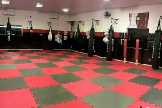 Imagem 2 da galeria do parceiro Striker 0579