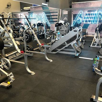 Imagen 3 de la galería del partner ANIMA FIT & HEALTH SEDE EDISON