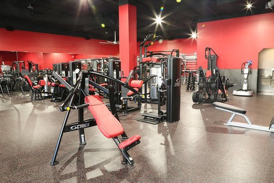 Image 3 from ShredzGym partner gallery