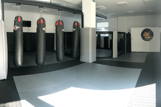 Imagen 3 de la galería del partner EIAMM zaragoza