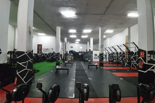 Imagen 3 de la galería del partner Crossfit Pracan