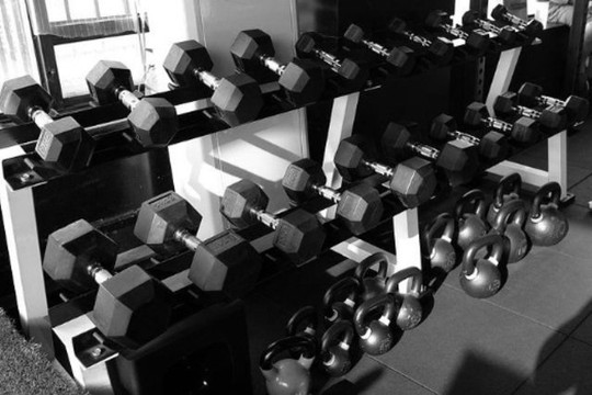 Immagine 1 dalla galleria del partner Fitness Lab