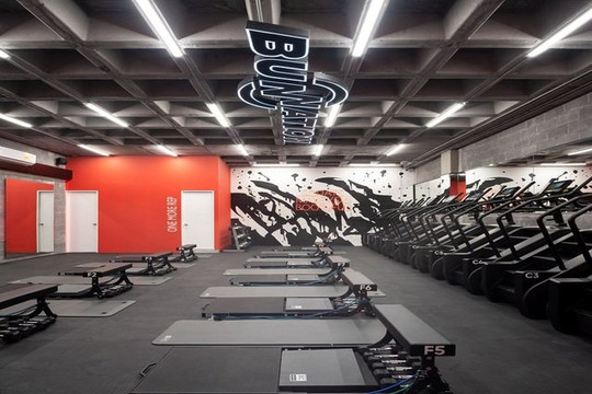 Imagen 3 de la galería del partner Bunnation Studio