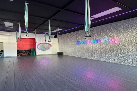 Imagen 2 de la galería del partner Evolution Studio