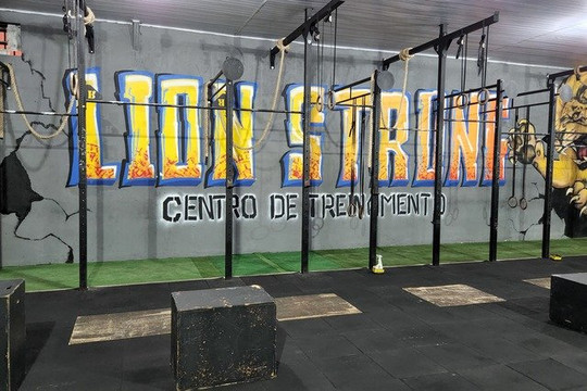 Imagem 3 da galeria do parceiro Lion Strong Centro De Treinamento