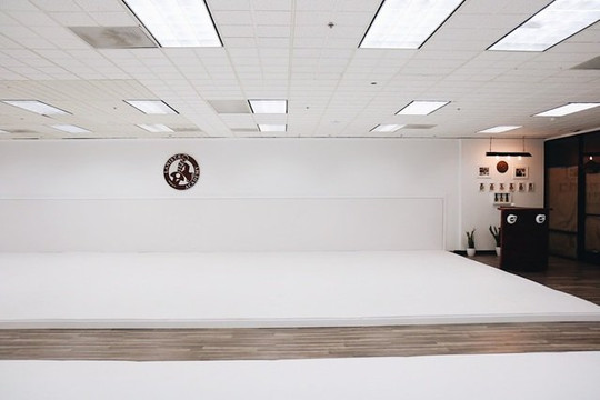 Image 3 from Lanistae Academy (JG Jiu Jitsu) partner gallery