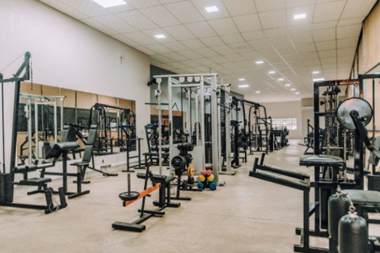 Imagem 1 da galeria do parceiro Primitive Gym