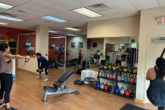 Image 3 from MeisterFitness For Women partner gallery