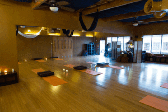 Image 2 from Heal and Soul Yoga partner gallery
