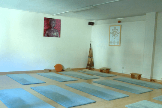 Imagen 2 de la galería del partner Yoga Oasis