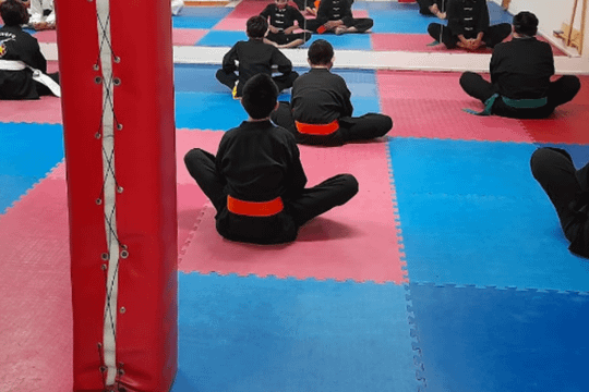 Imagen 1 de la galería del partner Goju Kan Revolución