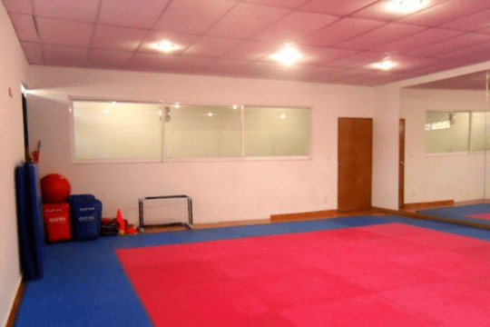 Imagen 1 de la galería del partner KARATE KNS
