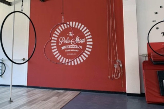 Immagine 2 dalla galleria del partner The Pole Show