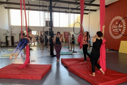 Immagine 3 dalla galleria del partner The Pole Show