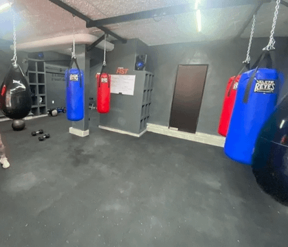 Imagen 1 de la galería del partner Enigma Fist