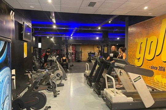 Imagen 1 de la galería del partner Goldfit