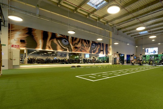 Imagen 1 de la galería del partner Dreamfit Parla