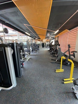 Imagen 1 de la galería del partner Seven Days Gold Arcos Express