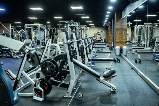 Imagen 1 de la galería del partner Wolf Land Gym