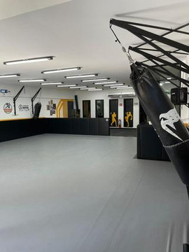 Imagem 2 da galeria do parceiro Olympus Fight - MDS
