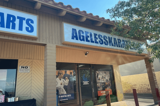 Image 2 from Ageless Martial Arts partner gallery
