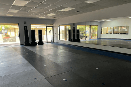 Image 3 from Ageless Martial Arts partner gallery