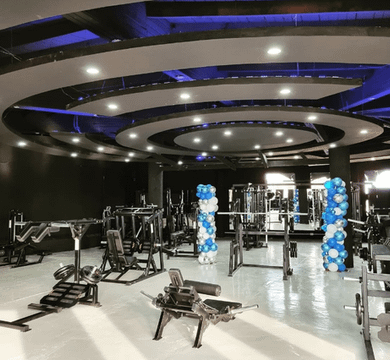 Imagen 1 de la galería del partner Muscle Fitness Center