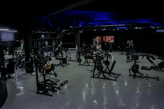 Imagen 3 de la galería del partner Muscle Fitness Center