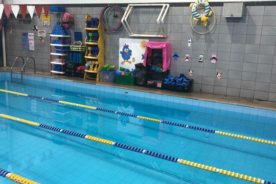 Imagem 2 da galeria do parceiro Bayma Natação