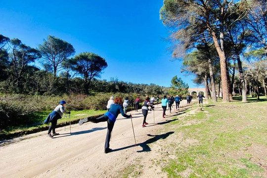 Imagen 1 de la galería del partner Nordic Walkers El Pardo