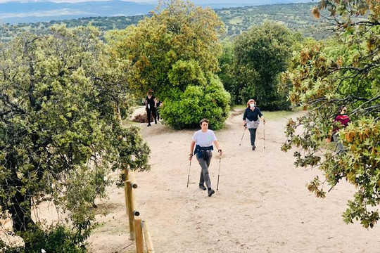 Imagen 2 de la galería del partner Nordic Walkers El Pardo