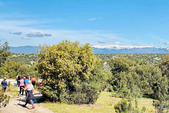 Imagen 3 de la galería del partner Nordic Walkers El Pardo
