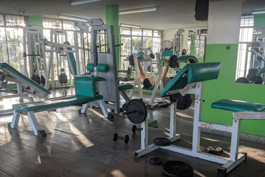 Imagen 3 de la galería del partner Plena Forma