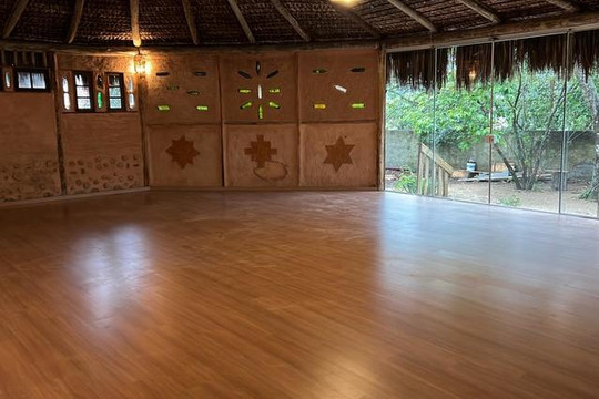 Imagem 3 da galeria do parceiro Studio Hatha Vinyasa Yoga