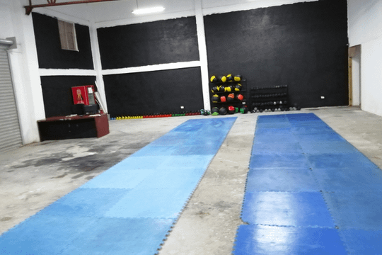 Imagen 3 de la galería del partner Gorillaz Cross Piedras Negras