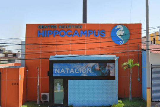 Imagen 2 de la galería del partner Centro Acuático Hippocampus
