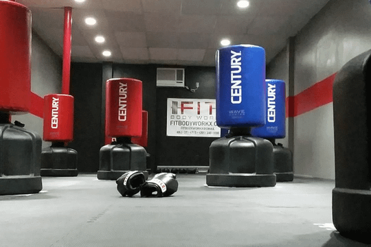 Image 1 from Fit Body Workx partner gallery
