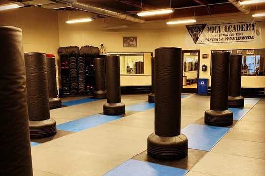 Image 1 from MMA Academy partner gallery