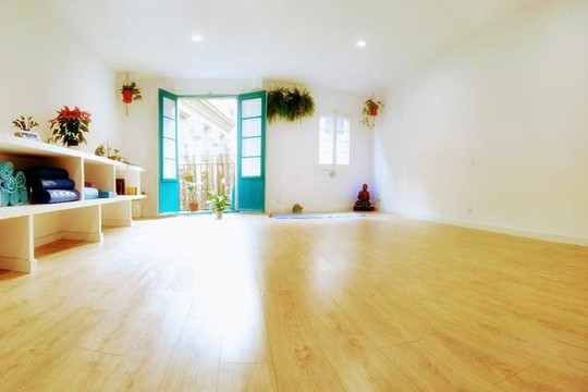 Imagen 1 de la galería del partner Blaumeer Yoga Studio