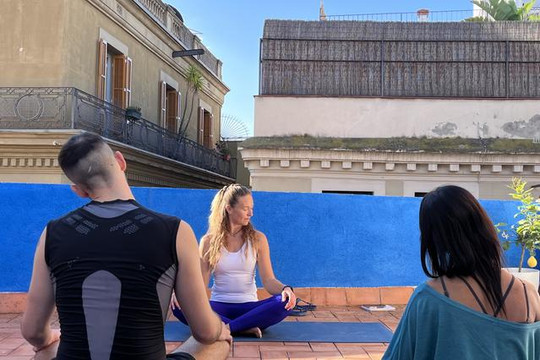 Imagen 3 de la galería del partner Blaumeer Yoga Studio