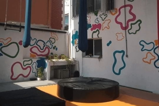 Imagem 3 da galeria do parceiro Canal Circo