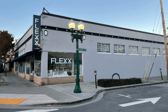 Image 2 from FLEXX Studios partner gallery