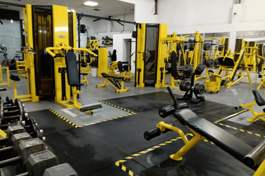 Imagen 3 de la galería del partner Performance Gym