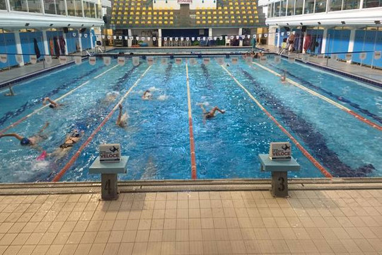 Immagine 3 dalla galleria del partner Piscine SO.GE.SE. - Carmen Longo - Stadio