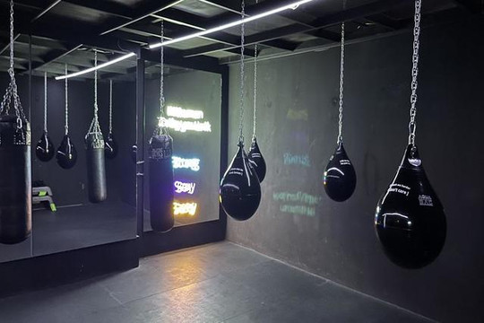 Imagen 1 de la galería del partner Provif Performance Studio