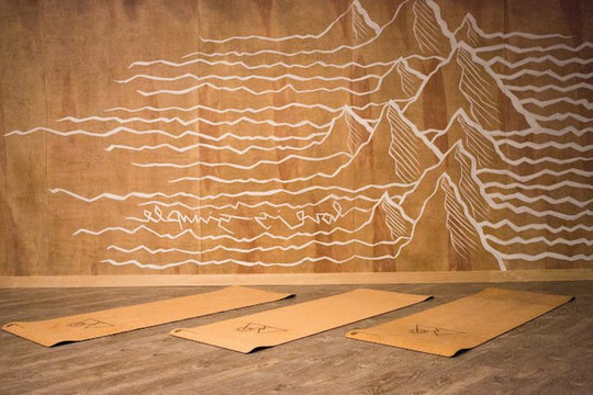 Image 3 from RA Yoga - Newport Beach partner gallery